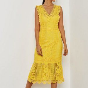 Offers Accepted - NWOT - Mango Lace Dress, Size 6